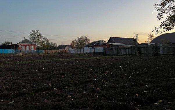 Каким будет лето 2025 после тёплой зимы: к чему стоит приготовиться огородникам