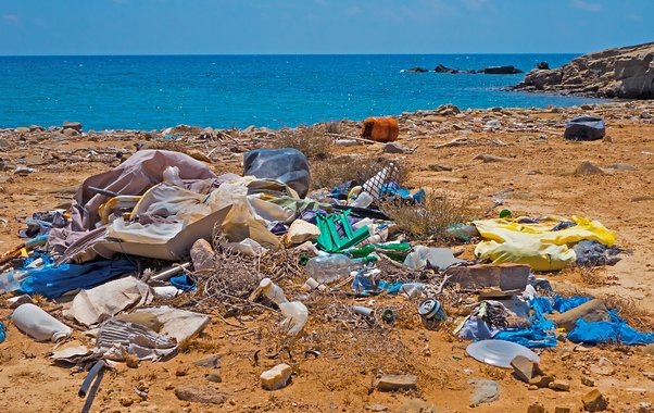 Купаться в море невозможно: Черное море преподнесло неприятный сюрприз отдыхающим
