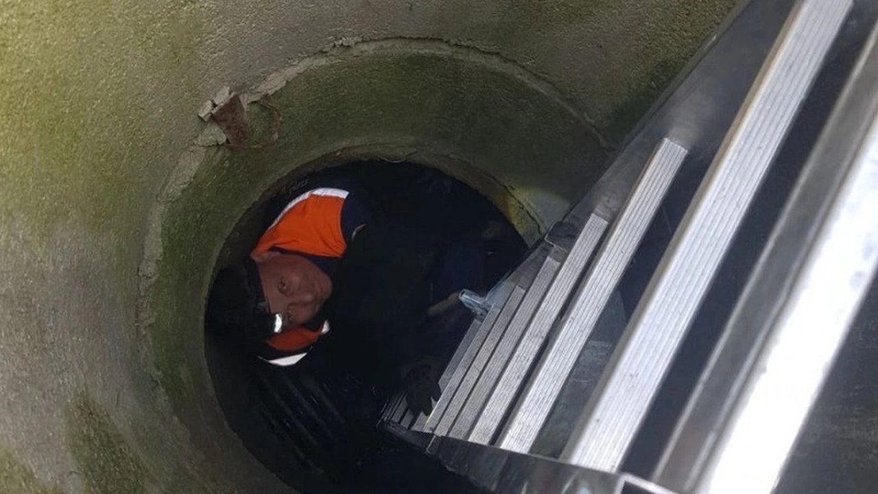 Главная картинка новости: Бродячая собака провела ночь в канализационном коллекторе