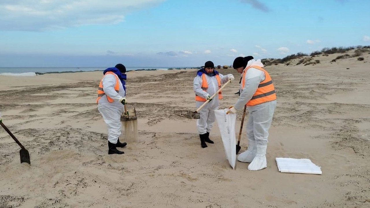 Главная картинка новости: Состояние воды в Черном море: экологи сообщают о высоком уровне загрязнения