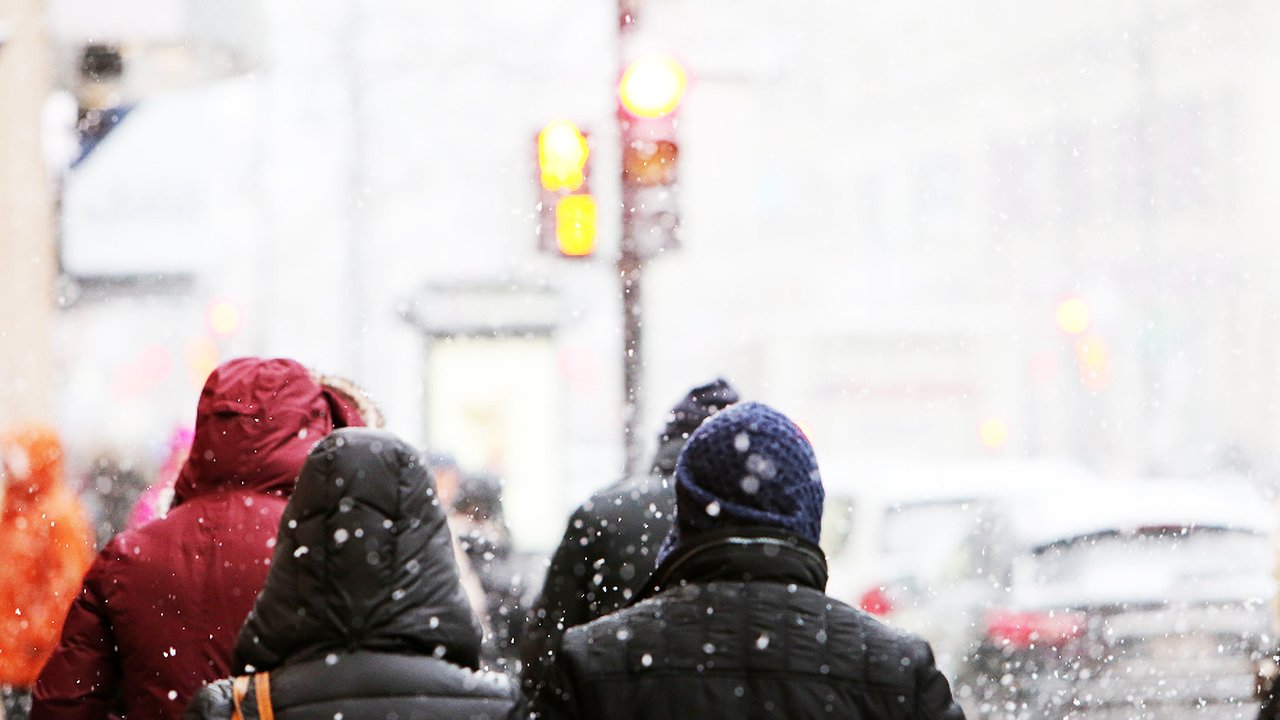 Главная картинка новости: Прогноз на март и апрель прост - зима не ослабляет хватку: ударят аномальные морозы намного хлеще зимних