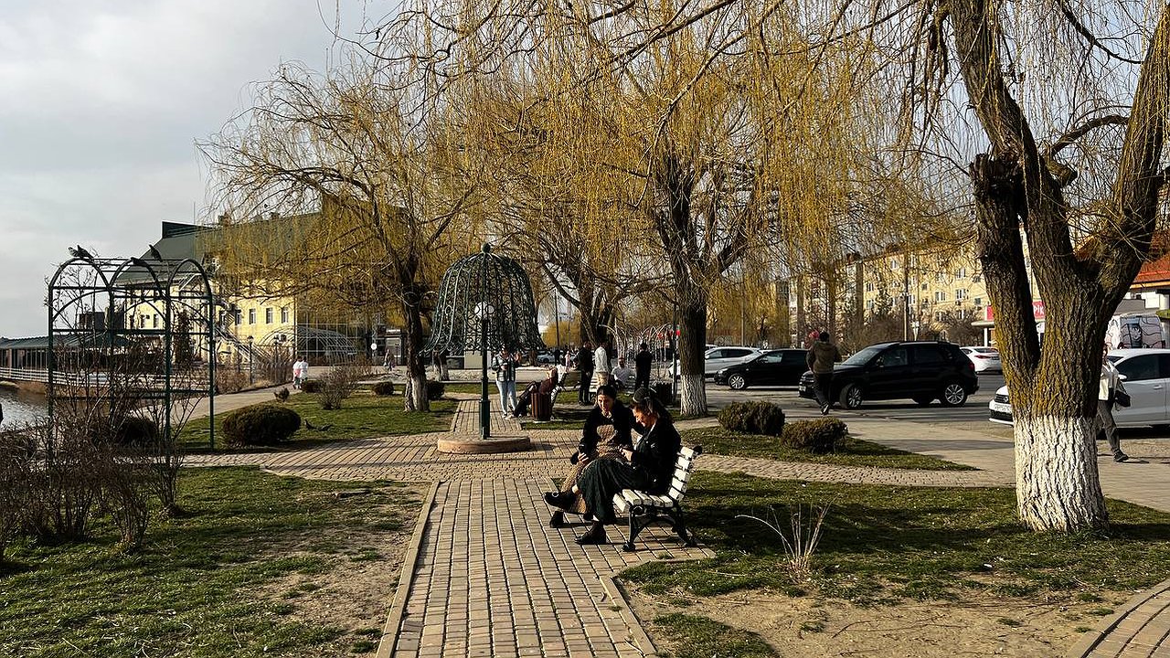 Главная картинка новости: "Умный и еще умнее": люди с этой группой крови обладают самым высоким интеллектом - проверьте себя