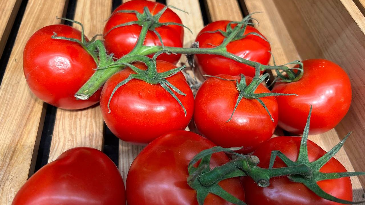 Главная картинка новости: Названы самые благоприятные даты - когда садить помидоры-черри на рассаду в 2025 году