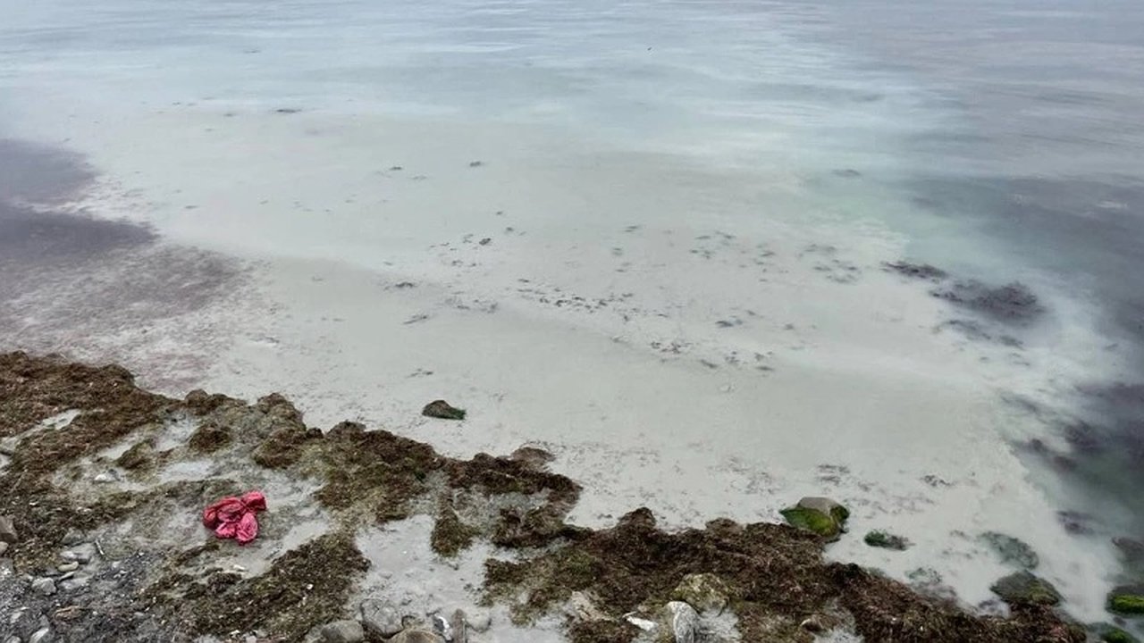 Главная картинка новости: В Новороссийске жители обеспокоены загрязнением моря: видео с пляжа Мысхако вызывает тревогу