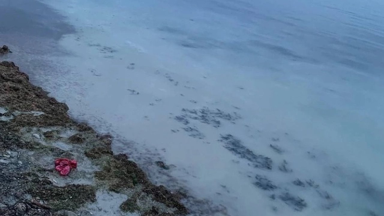 Главная картинка новости: Новороссийцы требуют ответственности за загрязнение моря у пляжа Мысхако