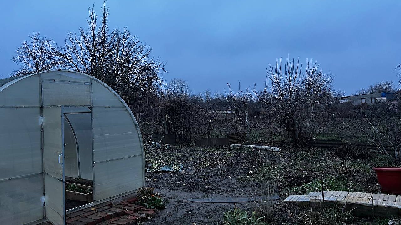 Главная картинка новости: Как только сойдёт снег, сыплем на грядки — и почва становится эталоном плодородия: как после тонны навоза