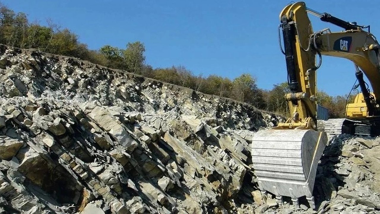 Главная картинка новости: Бизнесмены хотят уничтожить 128 тысяч деревьев, включая 3 195 занесенных в Красную книгу сосен