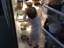 Главная ошибка многих хозяек: какие продукты категорически нельзя хранить на дверце холодильника