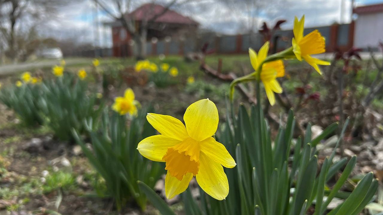 Главная картинка новости: На Пасху и майские погода подложит аномальную свинью: синоптики рассказали россиянам, к чему готовиться