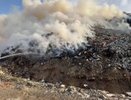 Компания «Терра-Н» завершила год с прибылью, контрольный пакет перешел к новому владельцу