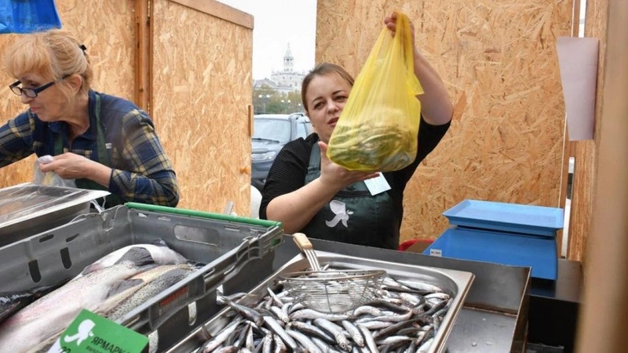 Главная картинка новости: Итоги путина 2024-2025: успешный вылов хамсы и новые экспортные возможности