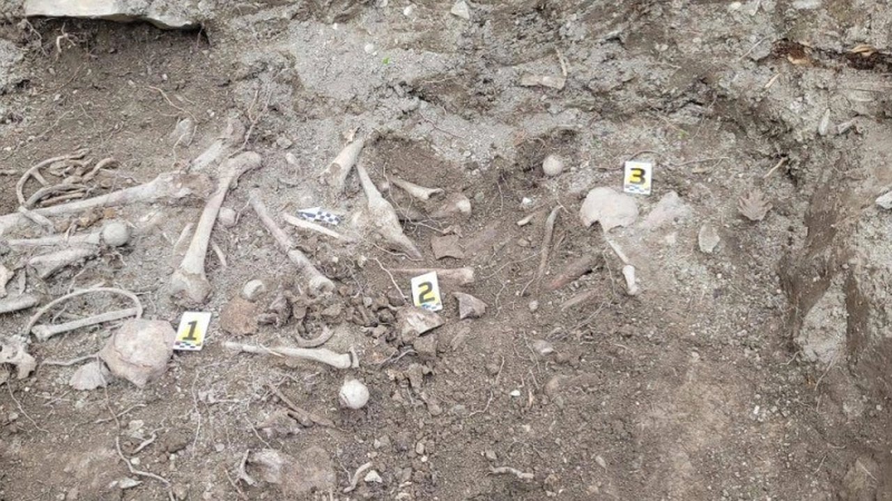 Главная картинка новости: Перезахоронение жертв массовых расстрелов: трудности идентификации и память о прошлом