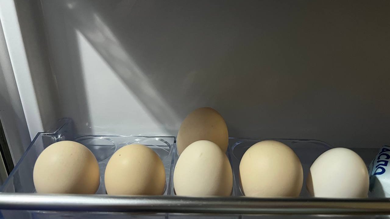 Главная картинка новости: Можно обойтись без белых. Эксперты объяснили, как окрасить коричневые яйца и кому они противопоказаны