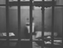 Амнистия к 80-летию Победы: кто получит шанс на свободу в 2025 году