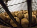Кубанец выиграл 10 миллионов рублей в праздничной лотерее