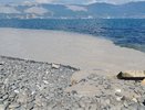 Загрязнение воды на пляже 'Нептун': горожане обеспокоены