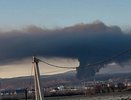 Экологическая катастрофа в Новороссийске: нефтепродукты загрязнили почву на птицефабрике