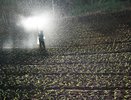 Юридические барьеры в изменении землепользования в Новороссийске