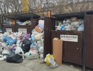 Новороссийск обновляет систему вывоза мусора: новые меры и улучшения