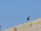 Неуважение к памяти: дети на мемориале «Малая Земля»