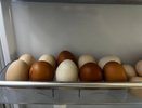 Продвинутые продавцы покупают яйца домой только так: запоминайте 2 лайфхака