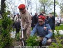 В Новороссийске высадили аллею сирени в честь 80-летия Великой Победы