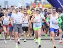 В Новороссийске стартовала эстафета «Спортсмены Кубани» в честь Великой Победы