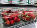 Собираю по 3 ведра клубники с грядочки — всего 3 метода для мощного урожая всей культуры