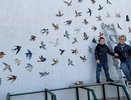 Новороссийск вновь радует мозаичными птицами в рамках арт-проекта