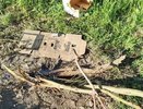 Нарушитель экосистемы: мужчина без определенного места жительства развел костры в заповедной зоне