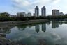 Миниатюра новости: Экологи бьют тревогу: проблемы с утилизацией ила на Южных прудах Новороссийска