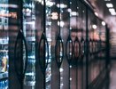 Новороссийск лидирует по ценам на свеклу, лук и картофель в Краснодарском крае