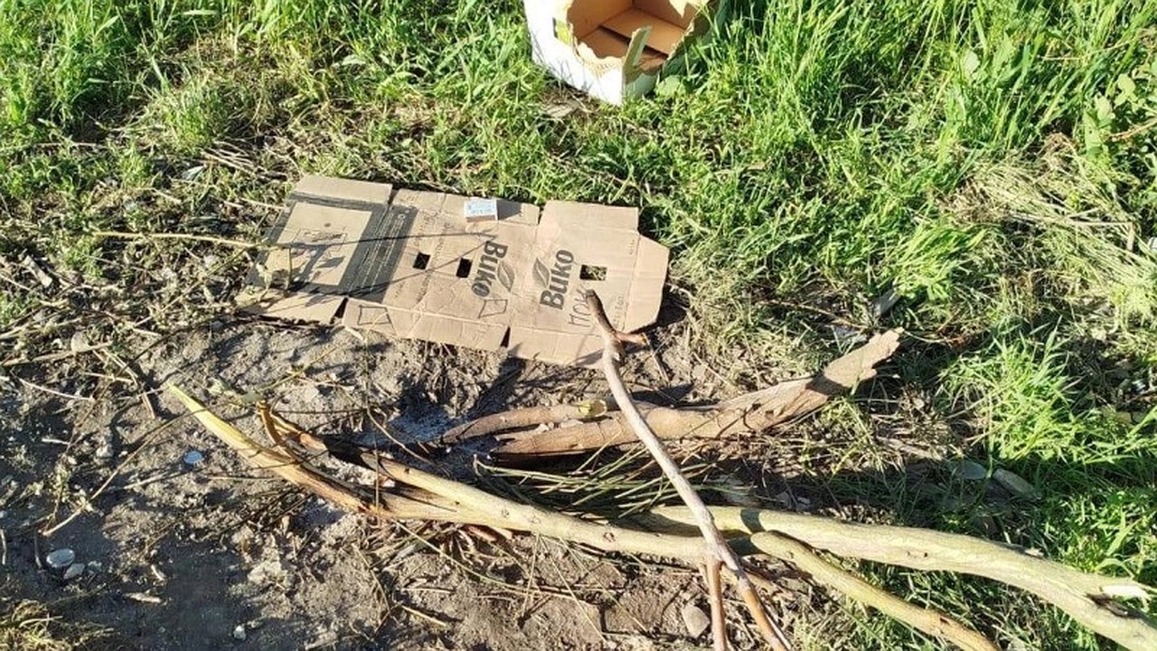 Главная картинка новости: Нарушитель экосистемы: мужчина без определенного места жительства развел костры в заповедной зоне