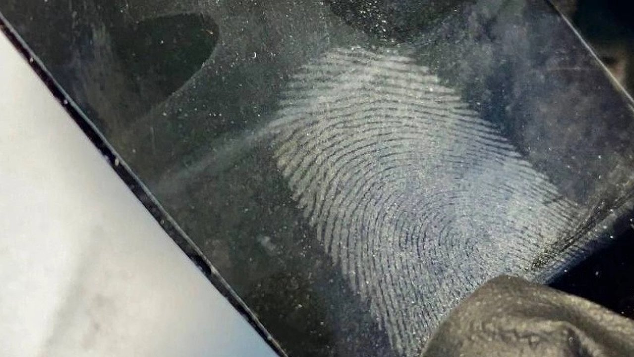 Главная картинка новости: В Новороссийске женщина предстанет перед судом за кражу из кафе