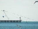 В Анапе и Темрюкском районе введены ограничения на доступ к пляжам из-за очистки от мазута