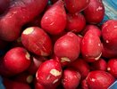 1 ложка в воду — и редис попрет как на дрожжах: вырастет вкусным, сочным и крупным — мощный эликсир