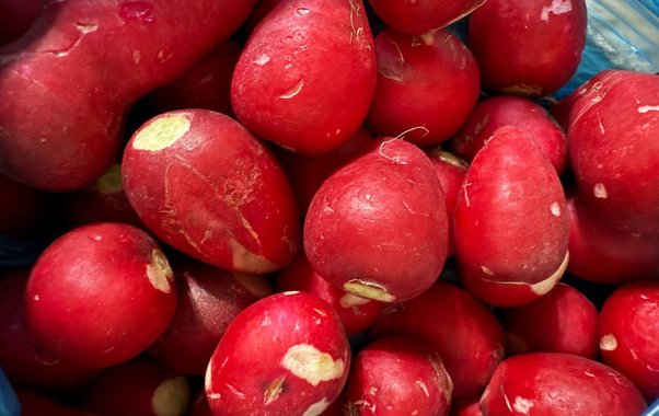 1 ложка в воду — и редис попрет как на дрожжах: вырастет вкусным, сочным и крупным — мощный эликсир
