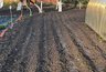 Миниатюра новости: "Вбил кол при посадке картофеля и про беды забыл на все лето": метод от опытного дачника