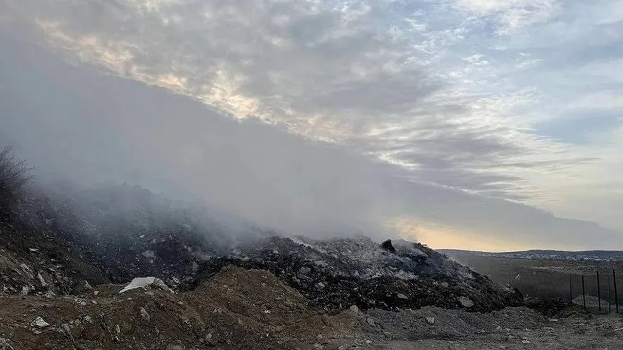 Главная картинка новости: В Новороссийске возбуждено дело против владельца свалки после возгорания