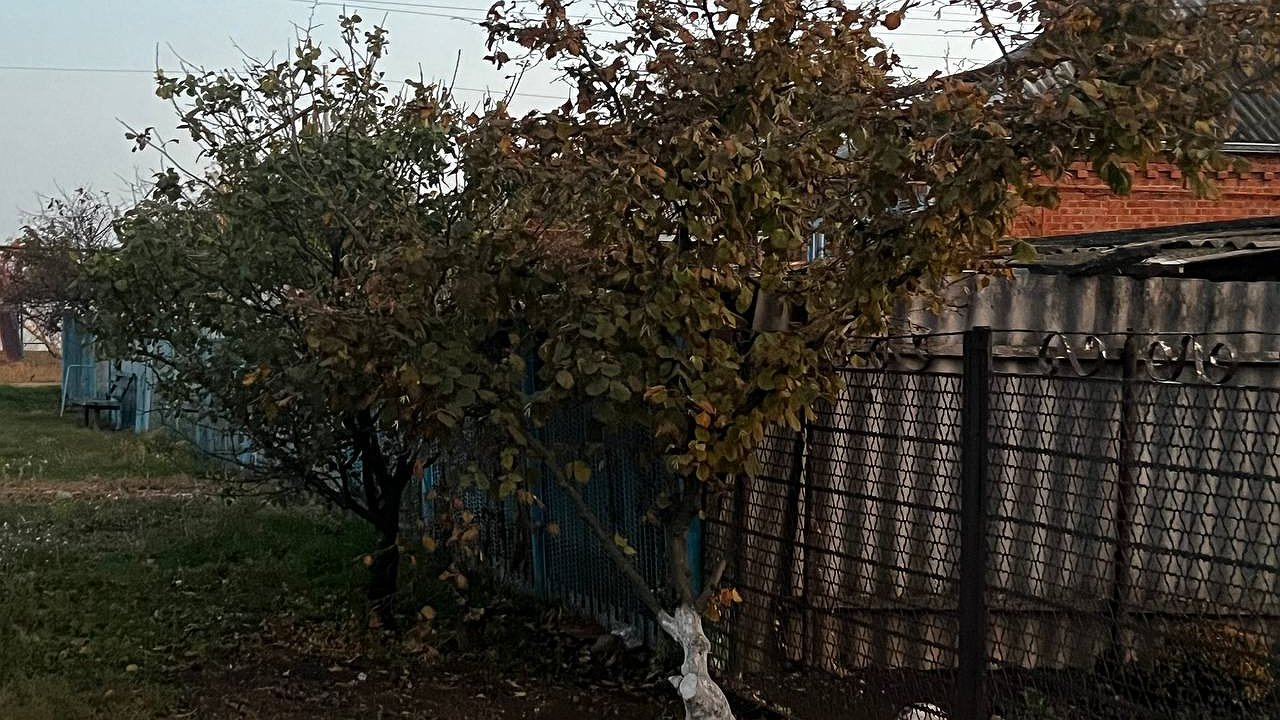 Главная картинка новости: Россияне кипят от ярости: в мае будут штрафовать за забор на даче или огороде