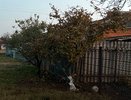 Россияне кипят от ярости: в мае будут штрафовать за забор на даче или огороде
