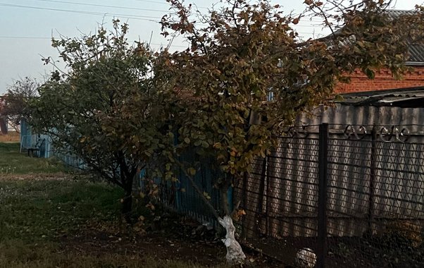 Россияне кипят от ярости: в мае будут штрафовать за забор на даче или огороде