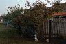 Миниатюра новости: Россияне кипят от ярости: в мае будут штрафовать за забор на даче или огороде