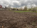 Сейте в мае на грядки - урожай умножается без лишних затрат: простая замена навозу - действует даже на бедных почвах