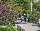 В Новороссийске возмущение по поводу символики «Эдельвейс» в социальных сетях