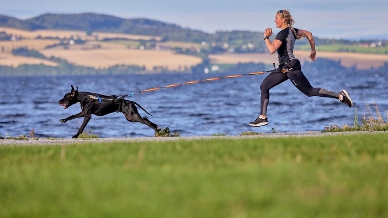 Главная картинка новости: Новороссийск готовится к благотворительному забегу «Каникросс»