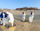 Возможная утилизация загрязнённого песка в Новороссийске: обследование полигона в станице Раевской