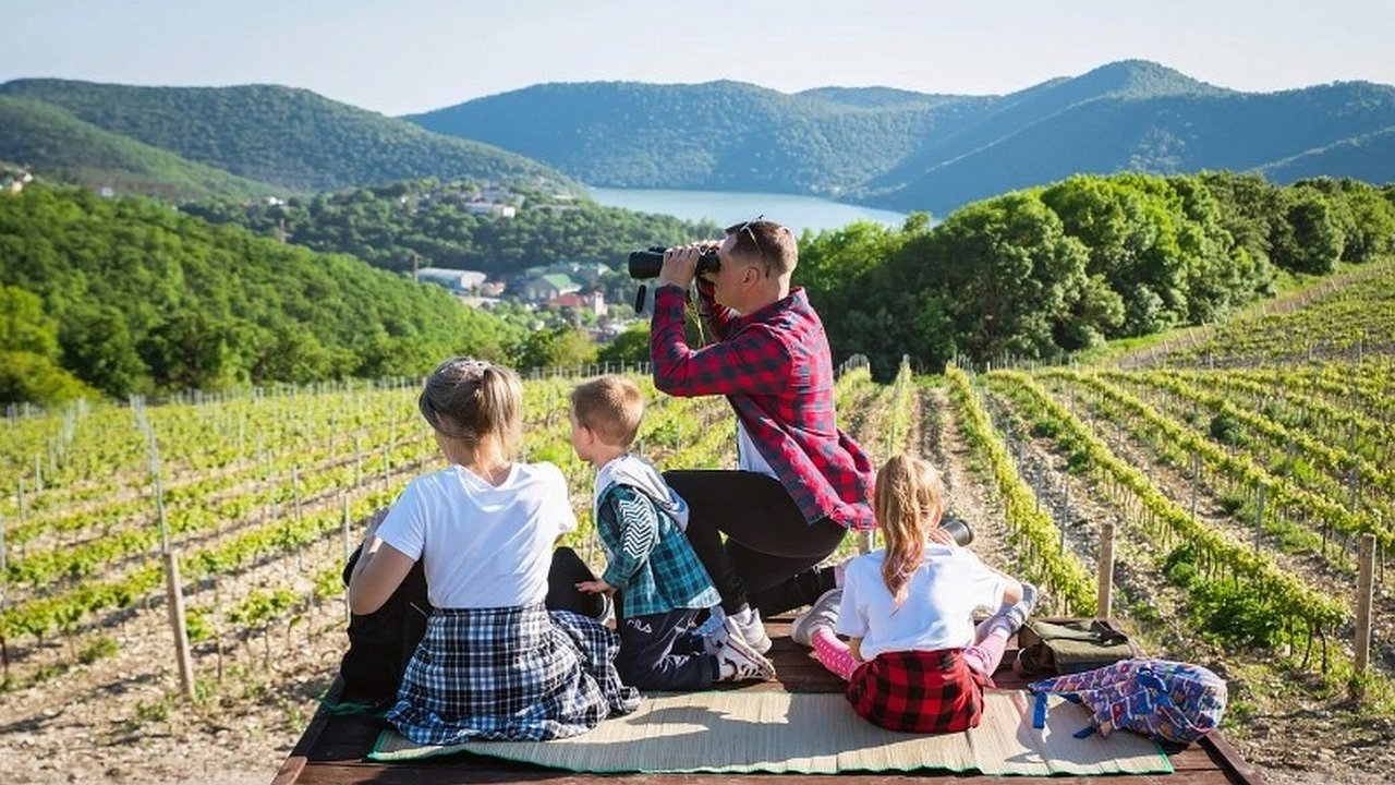 Главная картинка новости: Приостановка проекта туристического кластера в Абрау-Дюрсо