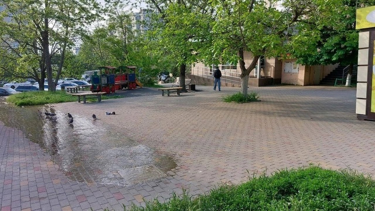 Главная картинка новости: Неприятные запахи и проблемы с канализацией: жители Новороссийска требуют решения