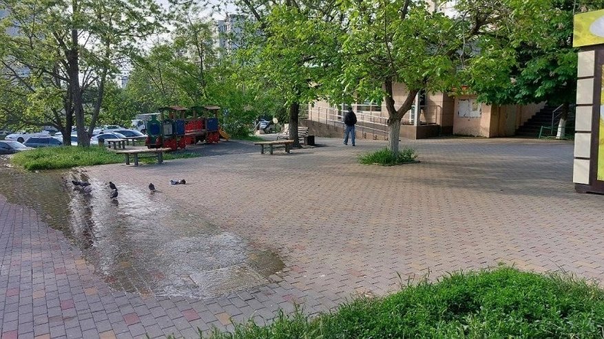 Главная картинка новости: Неприятные запахи и проблемы с канализацией: жители Новороссийска требуют решения